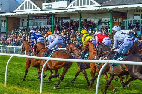 catterick races today.